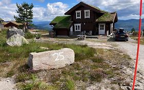 Vrådal Panorama